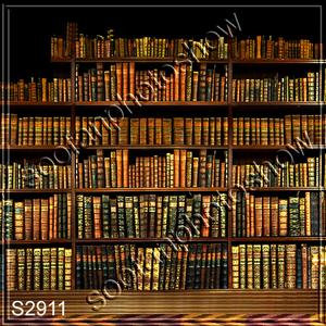 8'x8' s2911B11